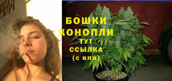 ГАЛЛЮЦИНОГЕННЫЕ ГРИБЫ Михайловка