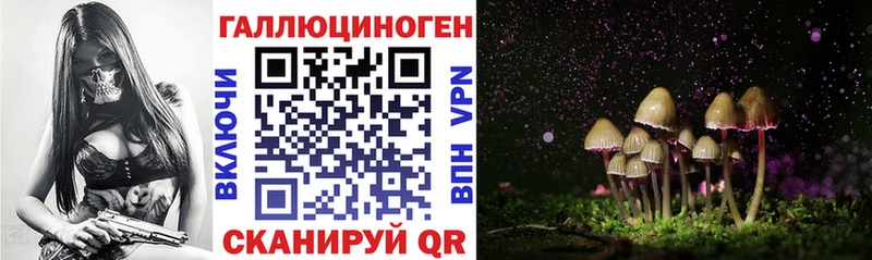 где продают наркотики  Новая Усмань  Галлюциногенные грибы прущие грибы 